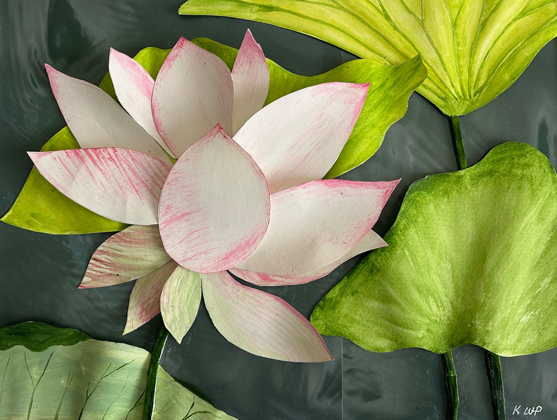 Water Lily from Huntington Gardens
