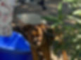 Thumbnail: Sky