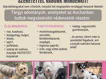 Kitelepülés az Auchanba