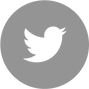Twitter - Grey Circle