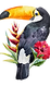 Toucan