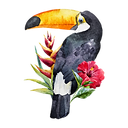 Toucan
