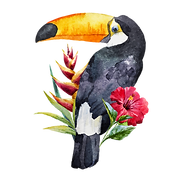 Tucán