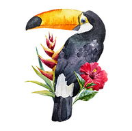 Tucán