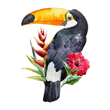 bird