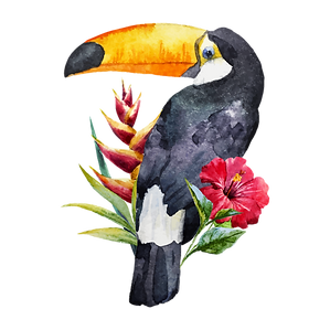 Toucan