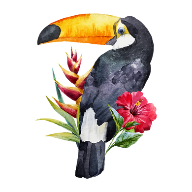 tucano