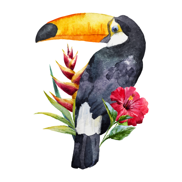 Tucán
