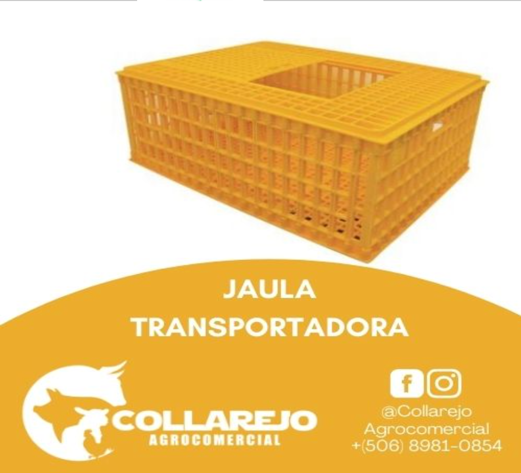 Jaula Transportadora 74 cm largo x 55 cm ancho x 26 cm de alto