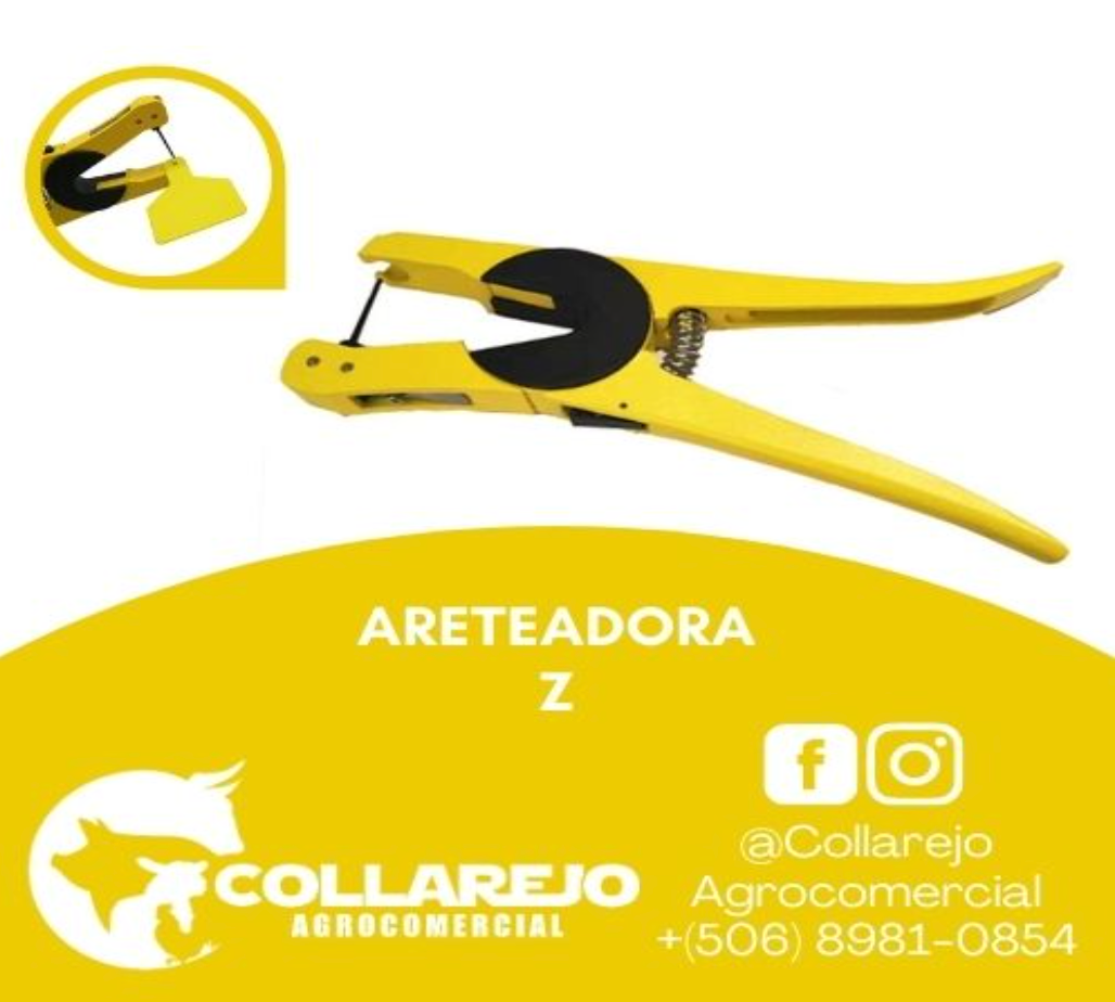 Areteadora Z