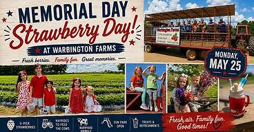 Red, White and BERRY Day at the Farm: Memorial Day