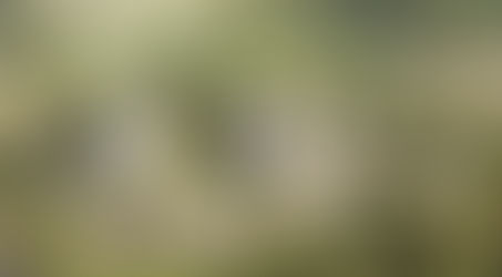 أبخازيا وجورجيا تتجاهلان الحقيقة