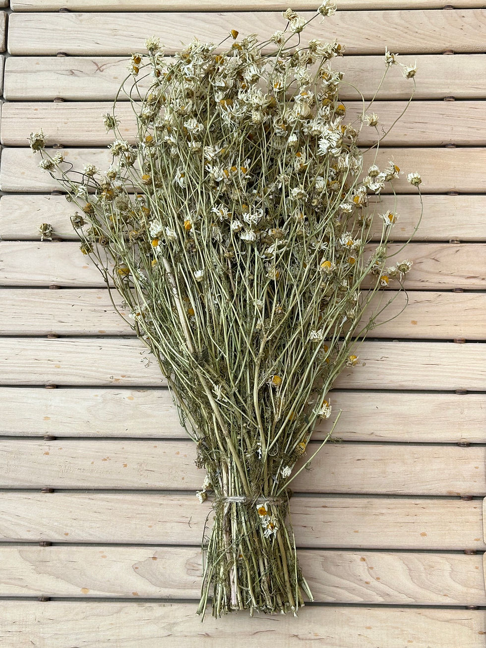 Pirts pušķis Kumelīte/ Bouquet of herbsChamomile /Matricaria chamomilla