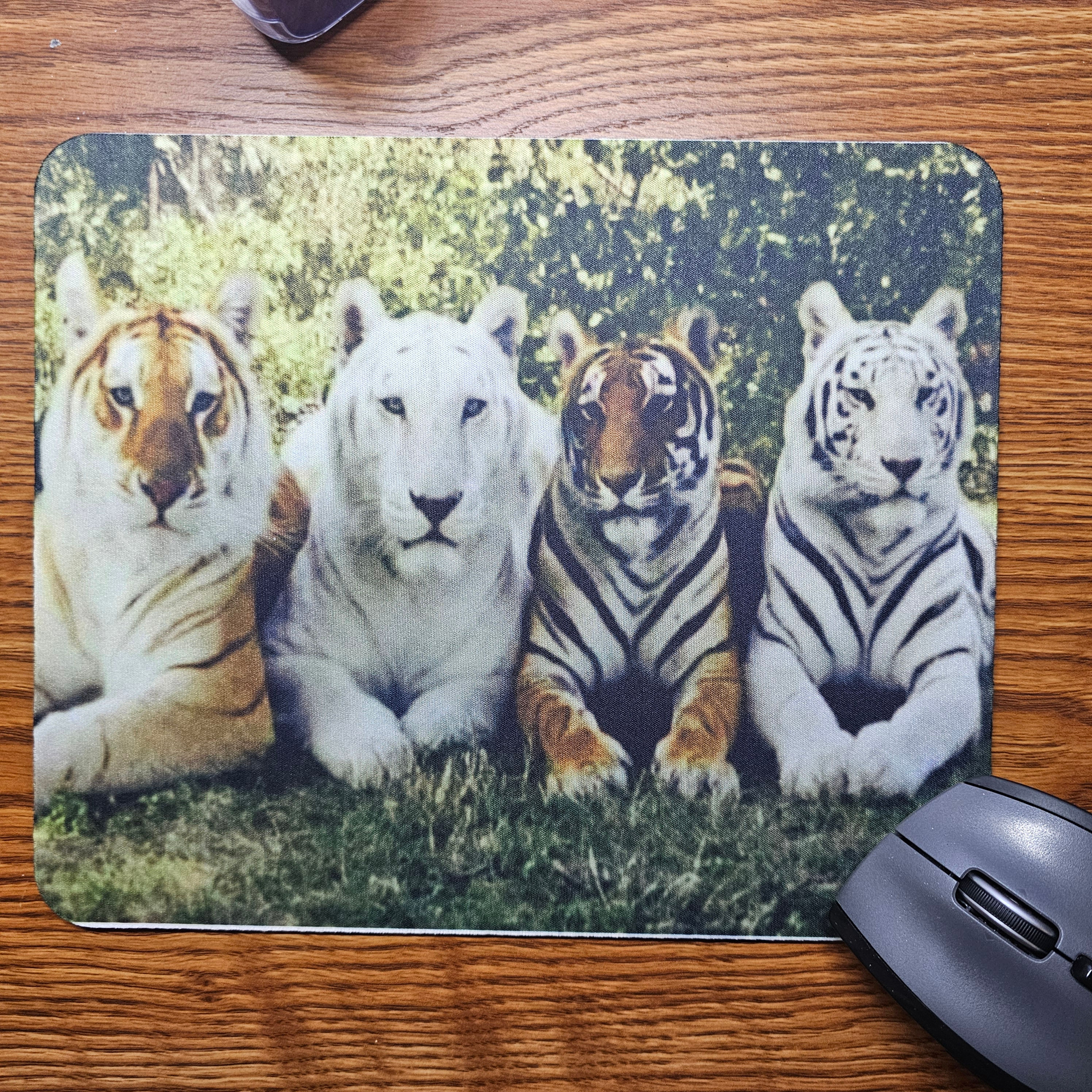 Tiger Rainbow Mouse Pad