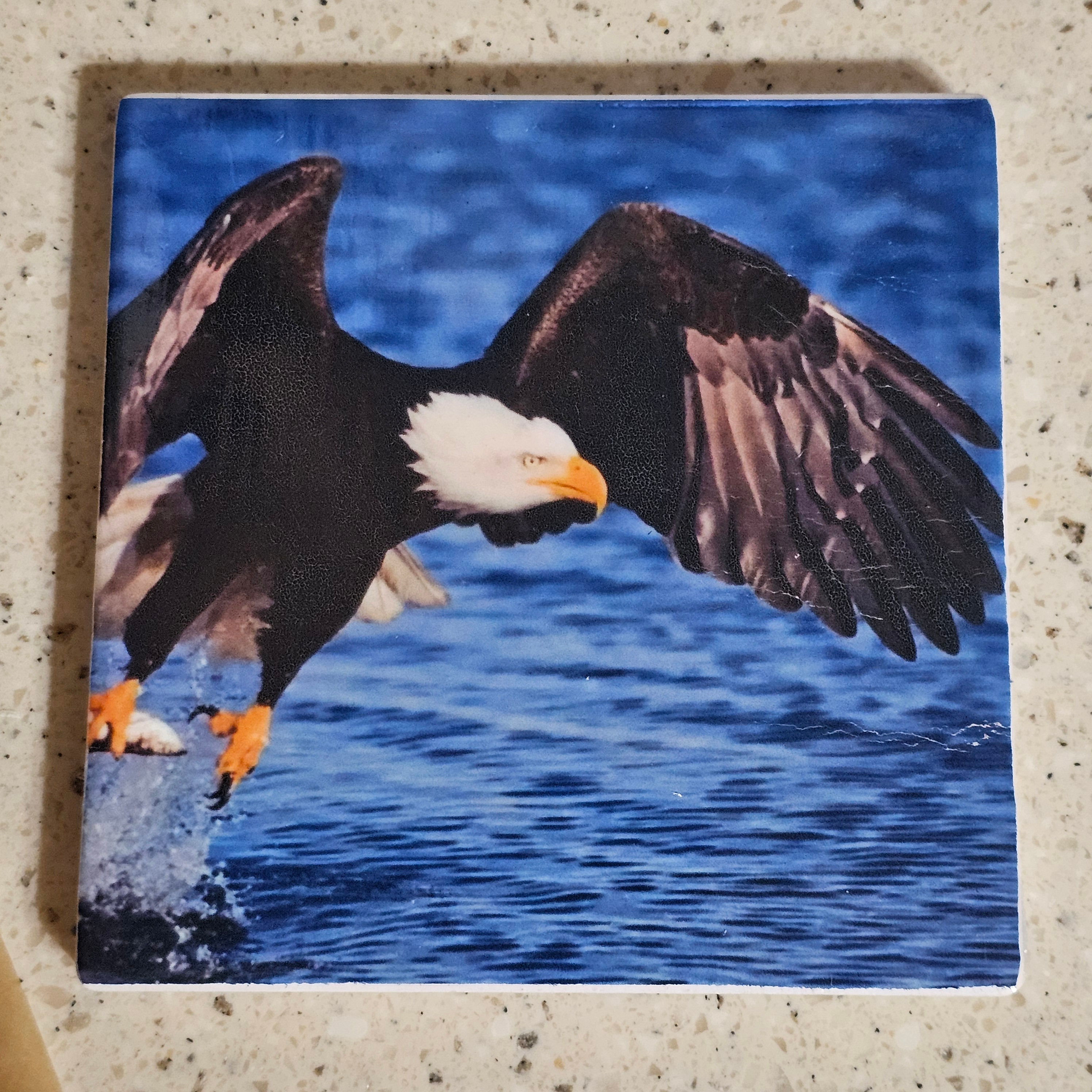 Grabbing Dinner Coaster Set