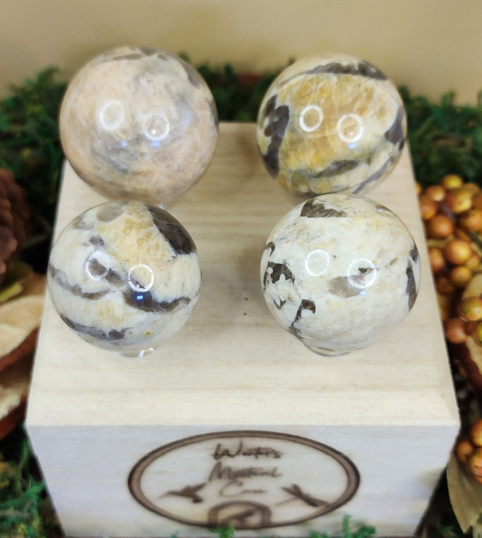 Zebra Moonstone sphere 90g
