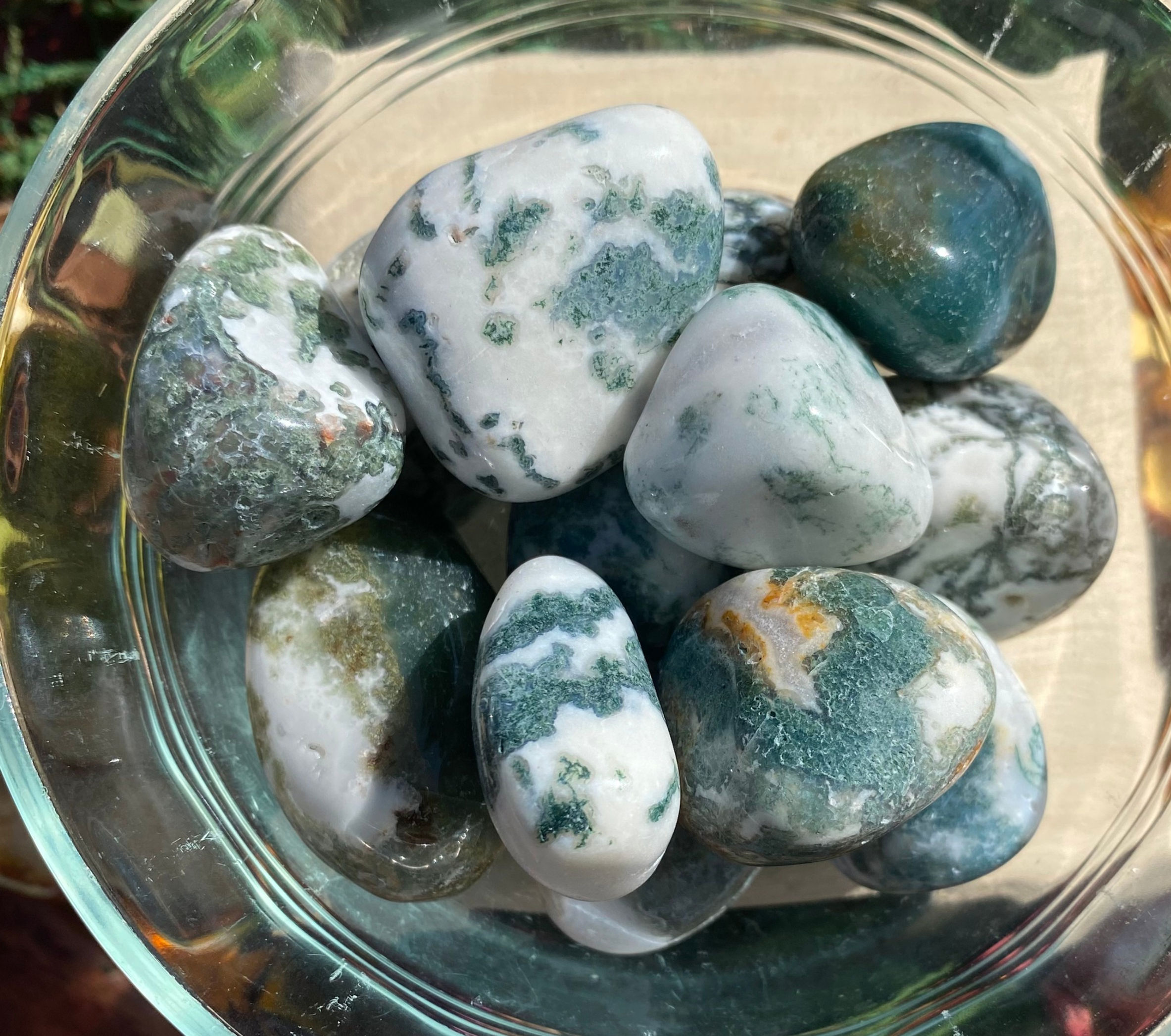 Tree Agate tumbles 33-44 lg