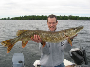 Yup... That's a BIG Fish (Champlain Report)