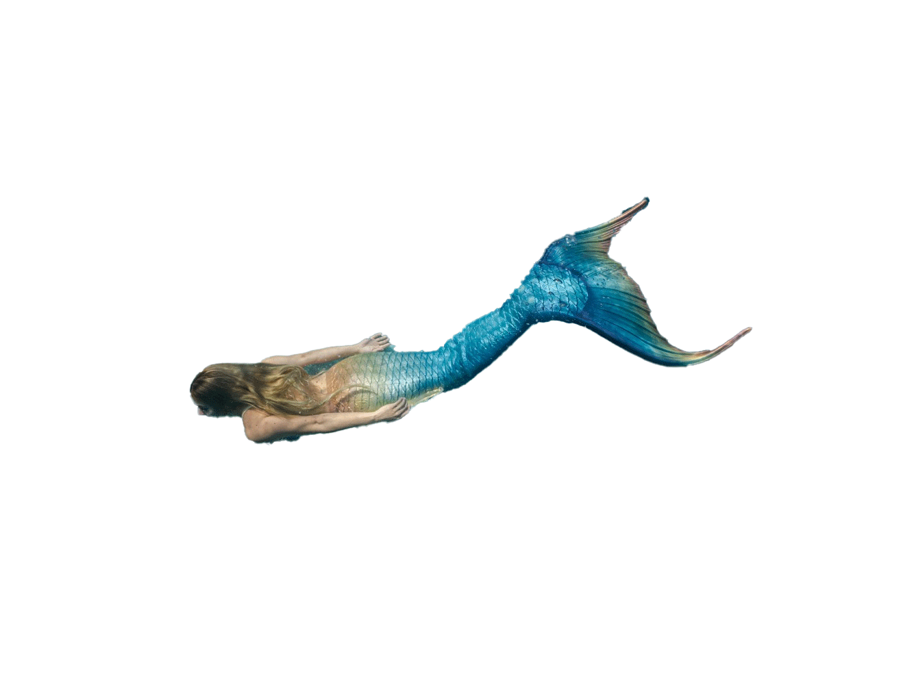 mermaid1.gif