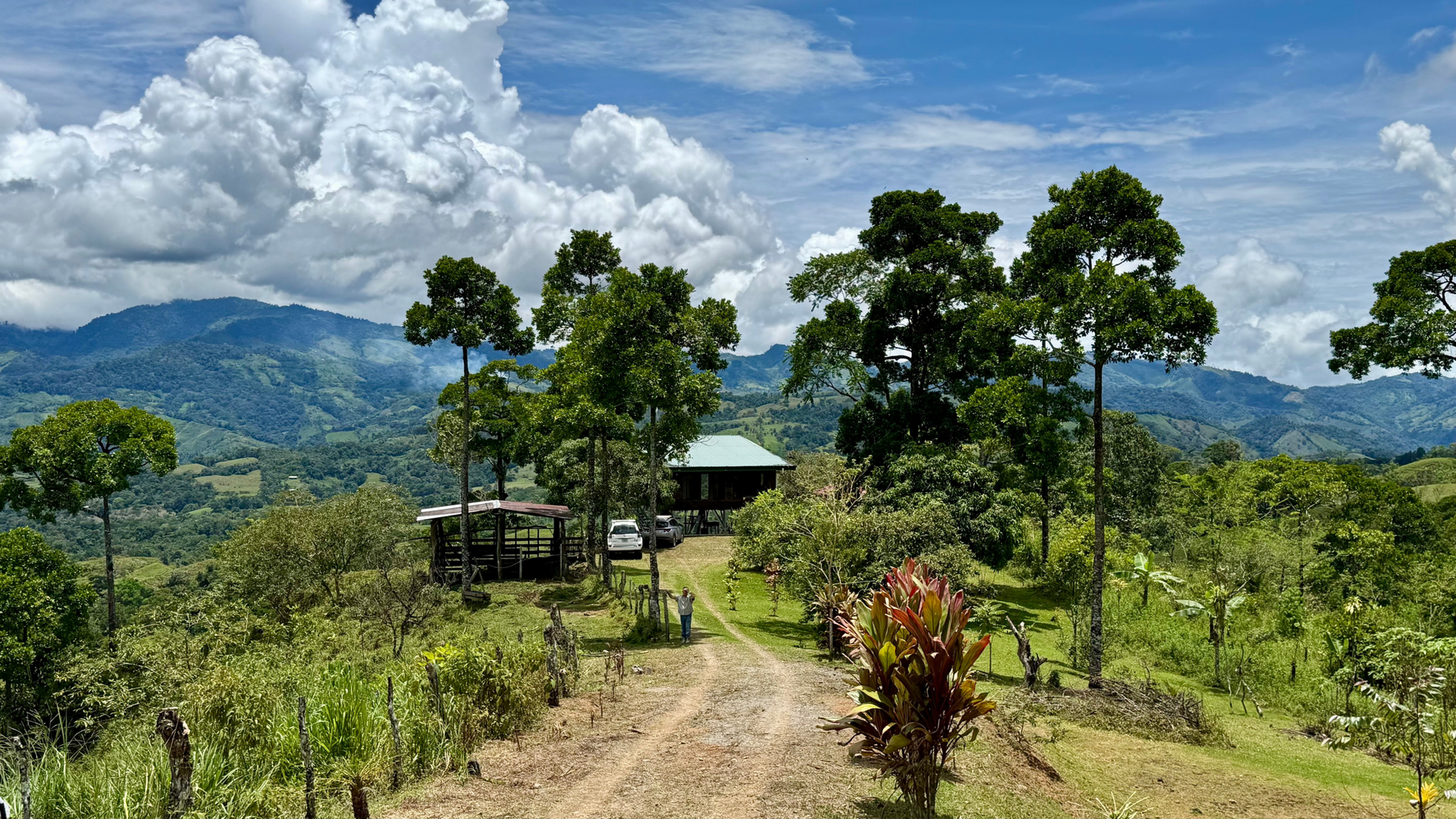Mountain Farm in Limoncito de San Vito in Ojochal, Costa Rica