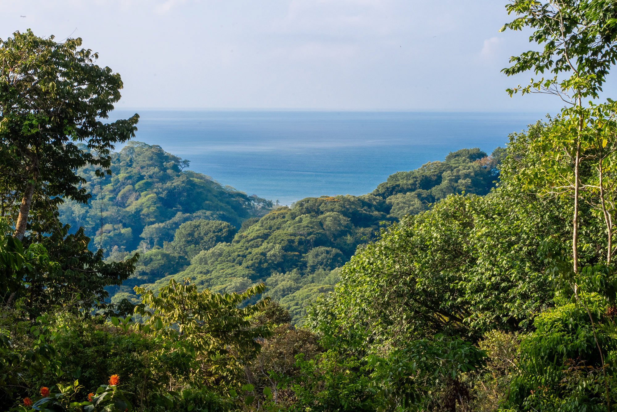 86-Acre Ocean View Estate Bordering Hacienda Baru, Dominical in Dominical, Costa Rica