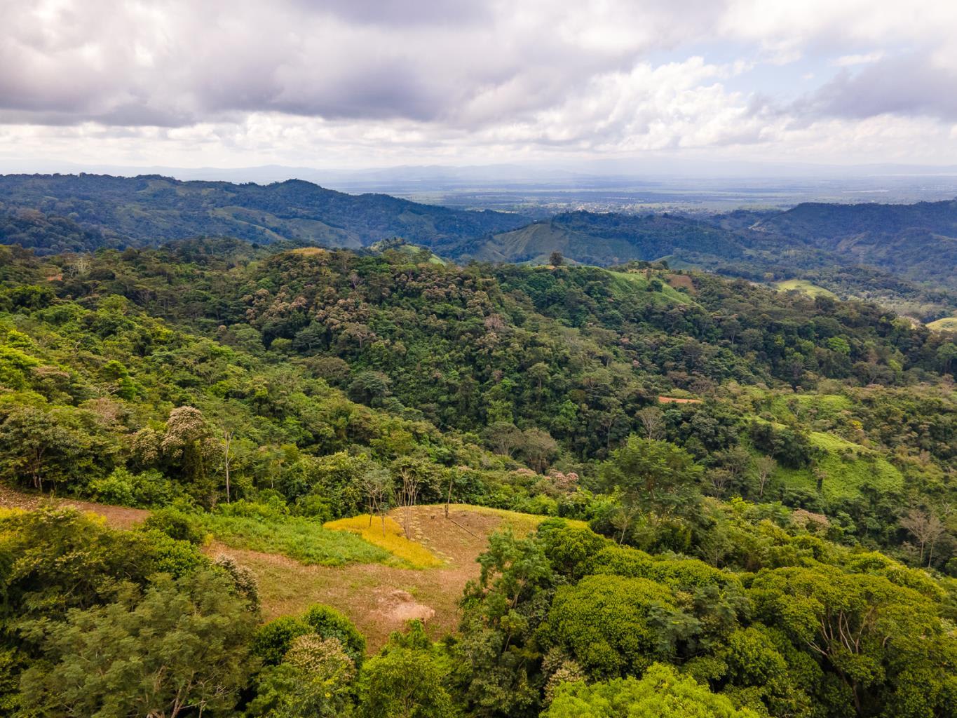 138-Acre Ocean View Land Near Cortez property photo 4