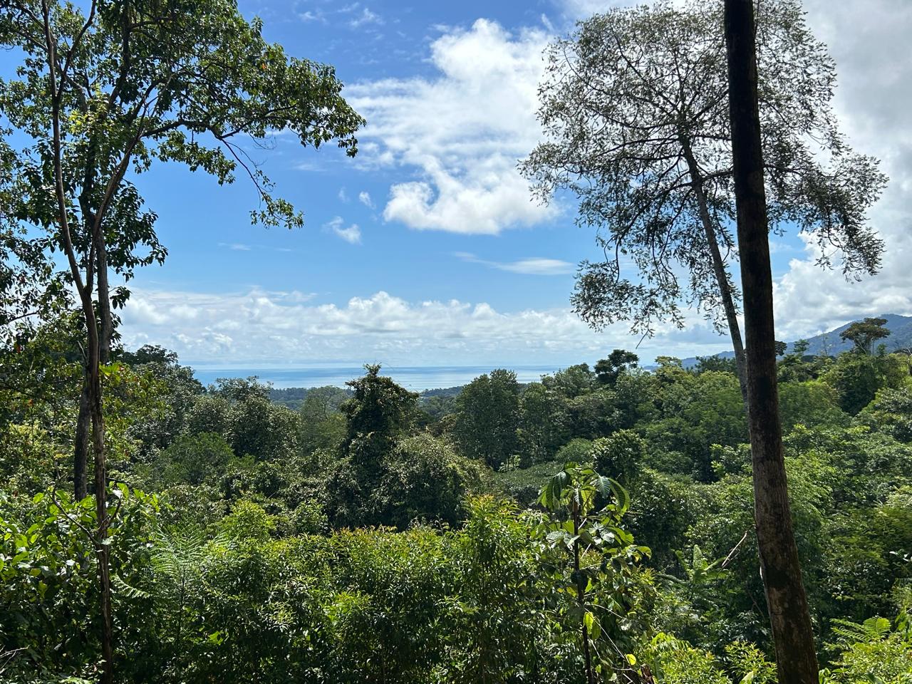 5-Acre Ocean View Land in Uvita property photo 4