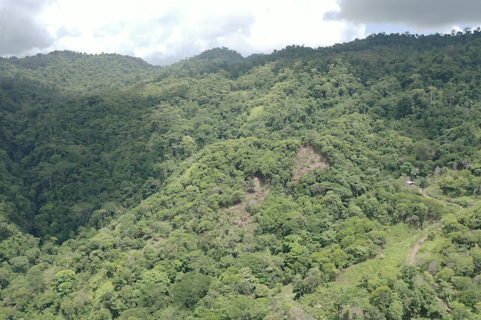 42-Acre Jungle Estate in Silencio property photo 5