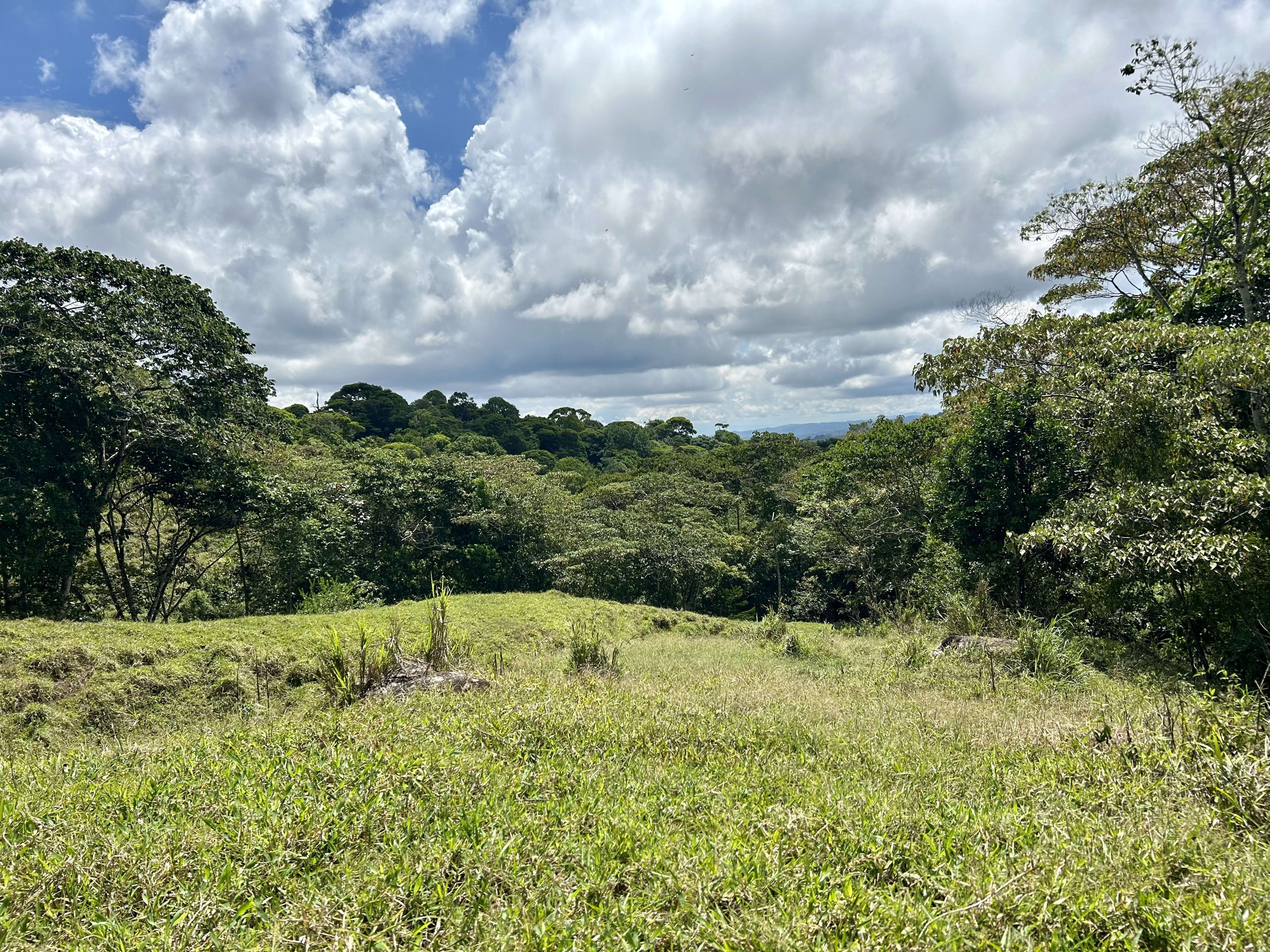 26-Acre Farm with Natural Springs in Alto de San Juan, Perez Zeledon in Dominical, Costa Rica