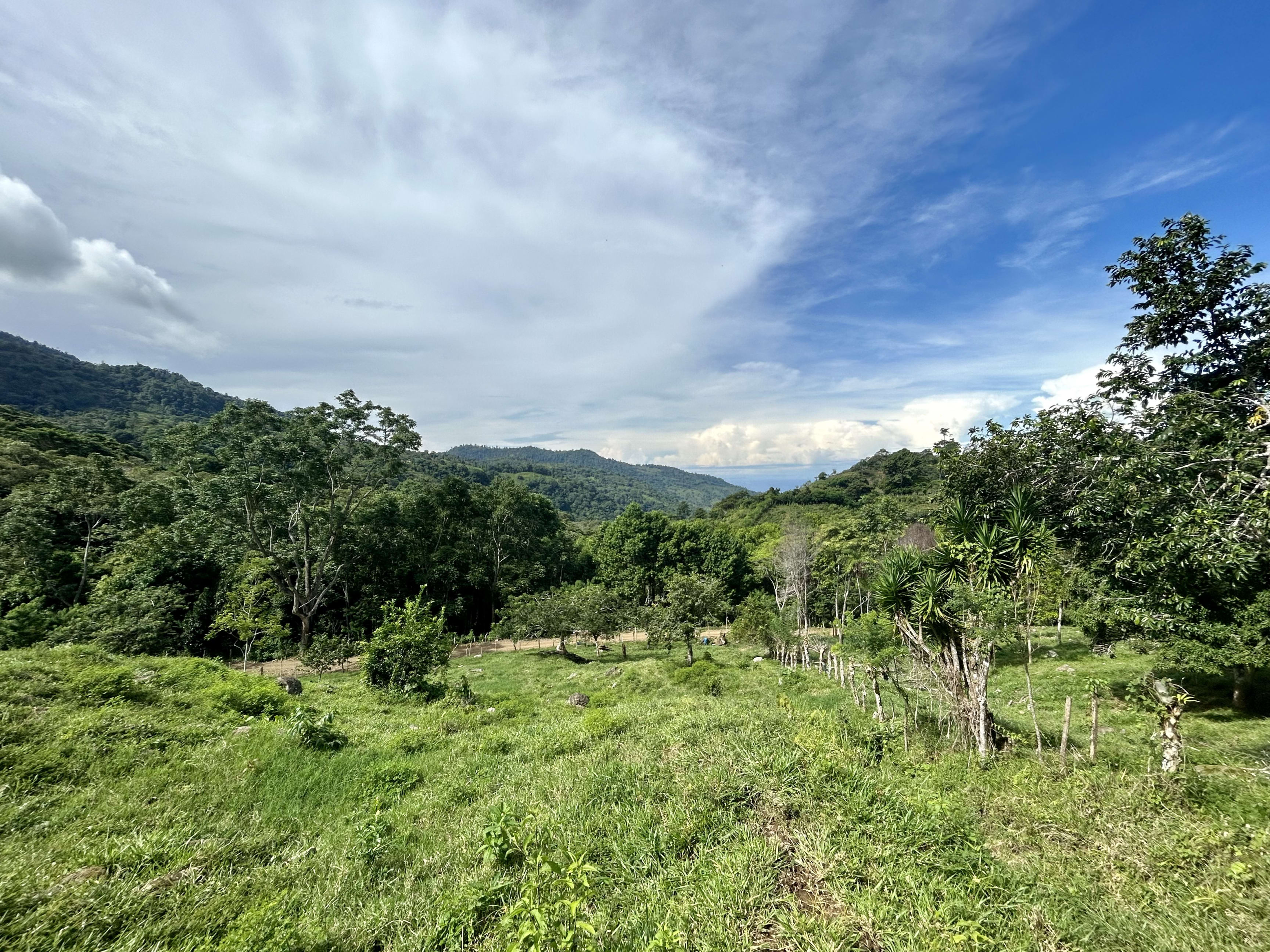 23-Acre Ocean View Farm in San Luis de Morete property photo 3