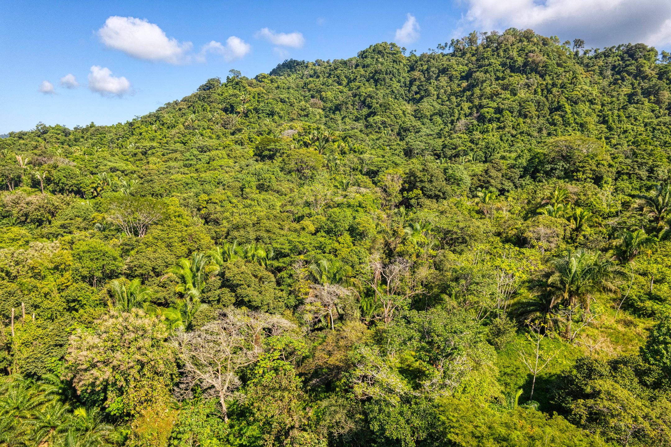 Ocean View Land in Portalon, Quepos property photo 3