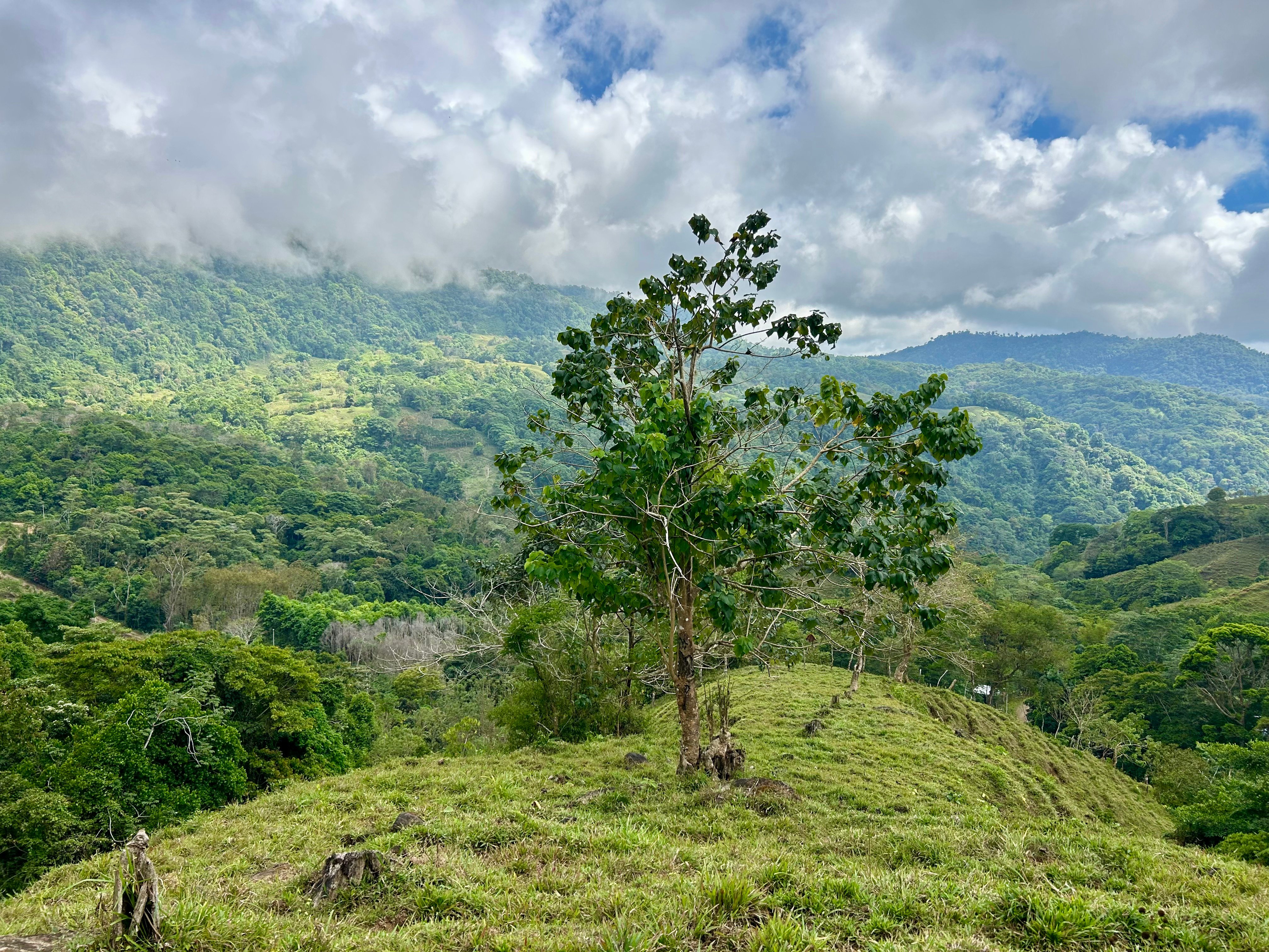 17-Acre Development Land in Morete, San Luis, Uvita property photo 4