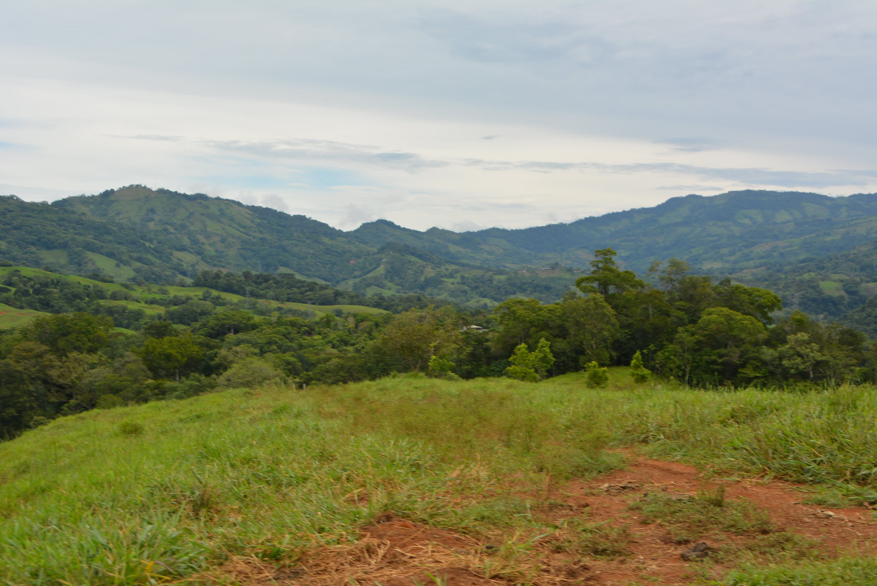 35-Acre Estate in Platanillo with Waterfall in Dominical, Costa Rica