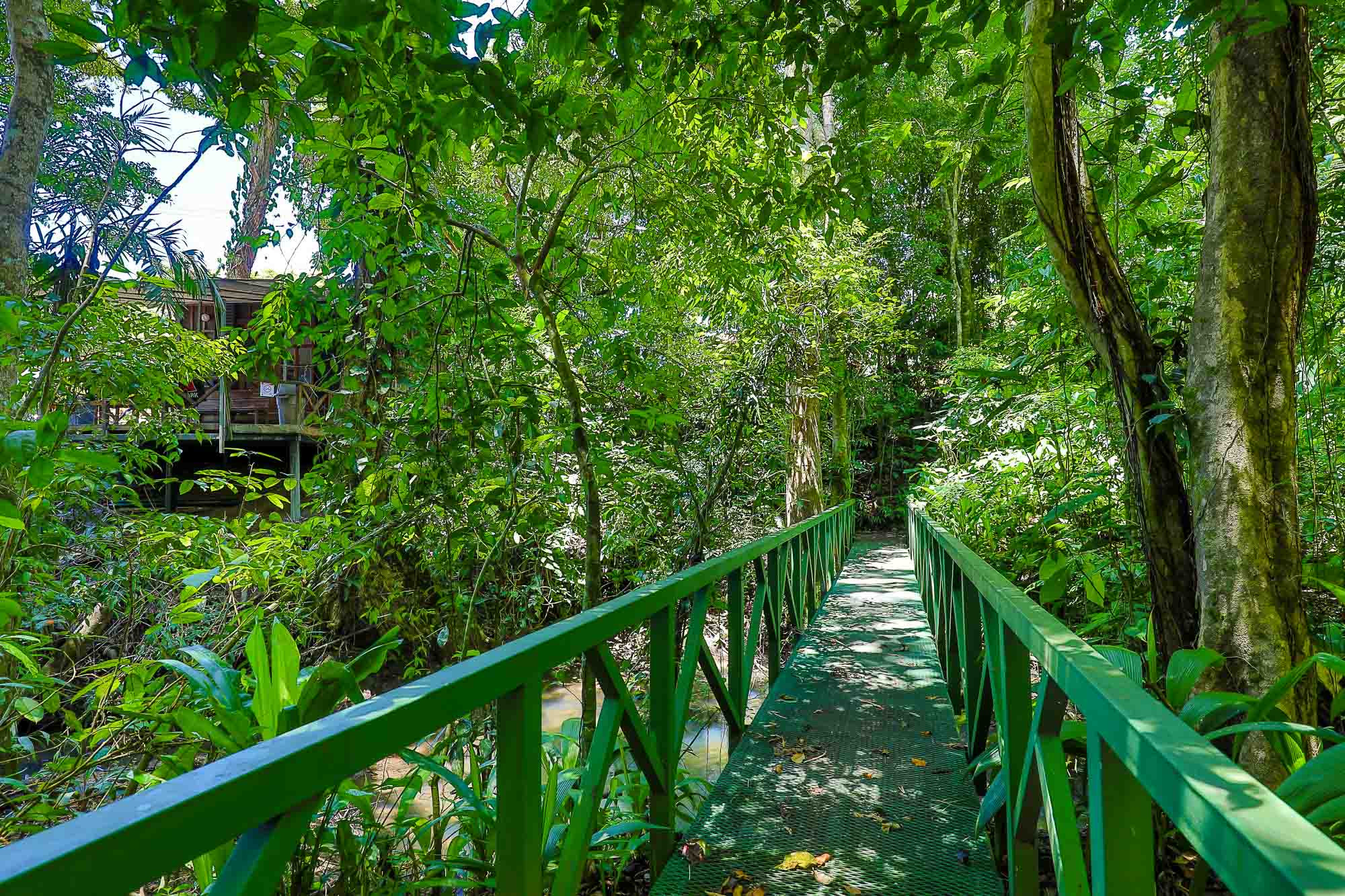 Two-Lot Rental Duplex in Manuel Antonio in Manuel Antonio, Costa Rica