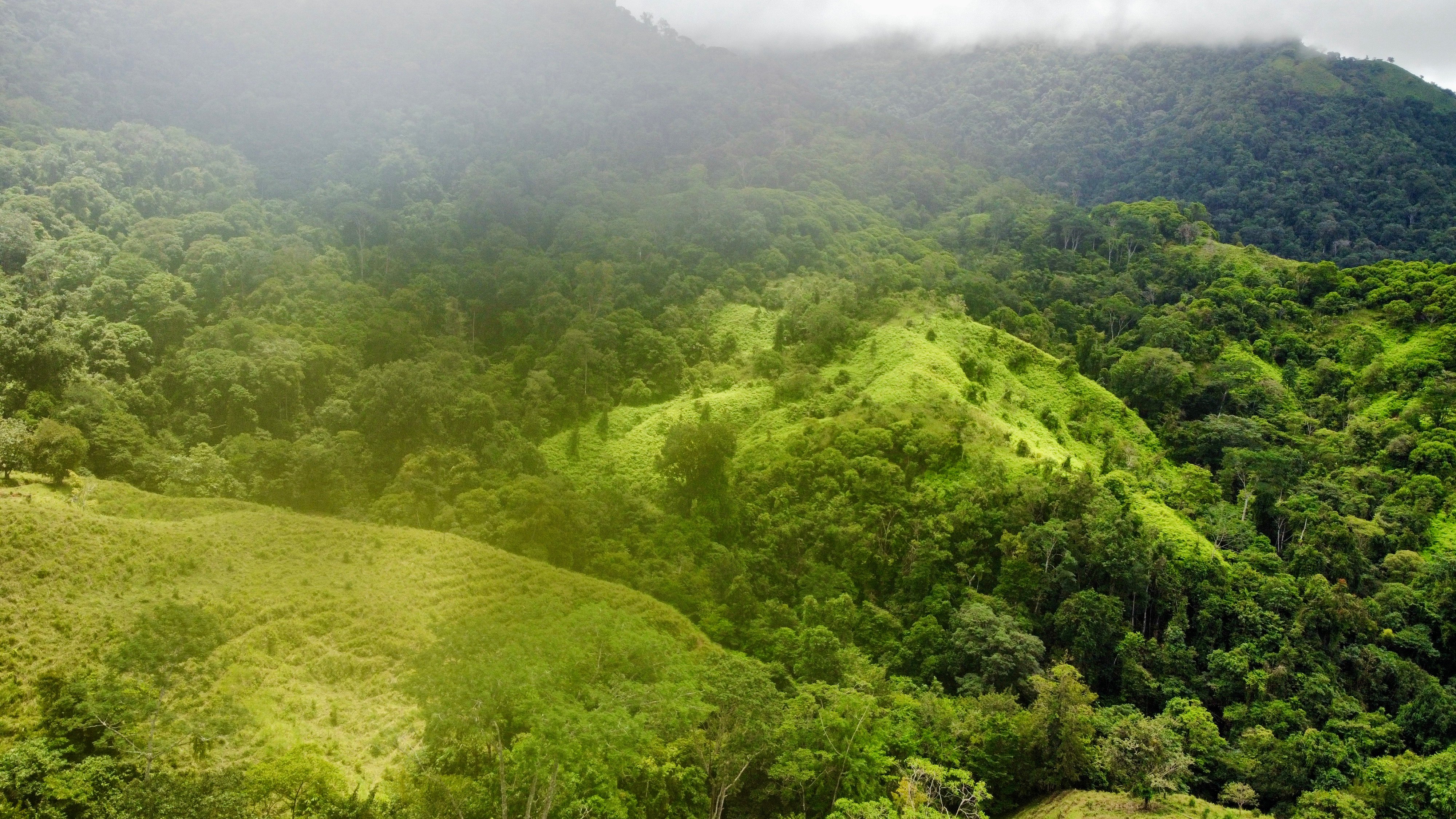 70-Acre Waterfall Land Near Ojochal property photo 3