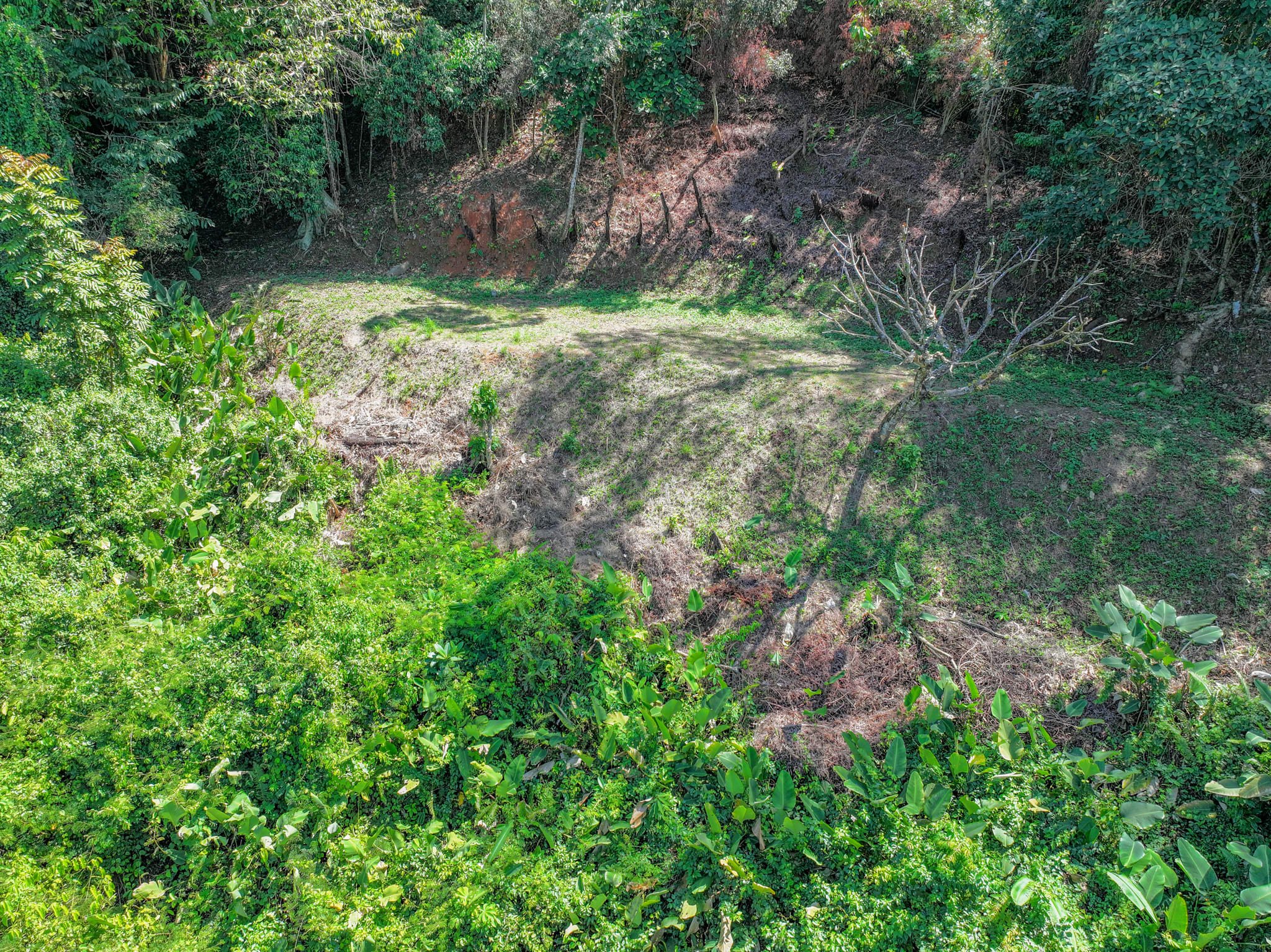 Buildable Jungle Lot Near Dominical in Dominical, Costa Rica