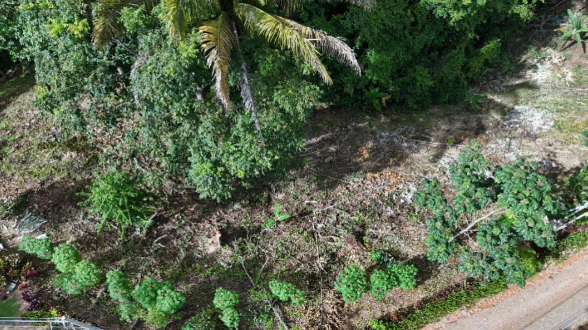 2.1-Acre Development Land in Uvita Hills property photo 4