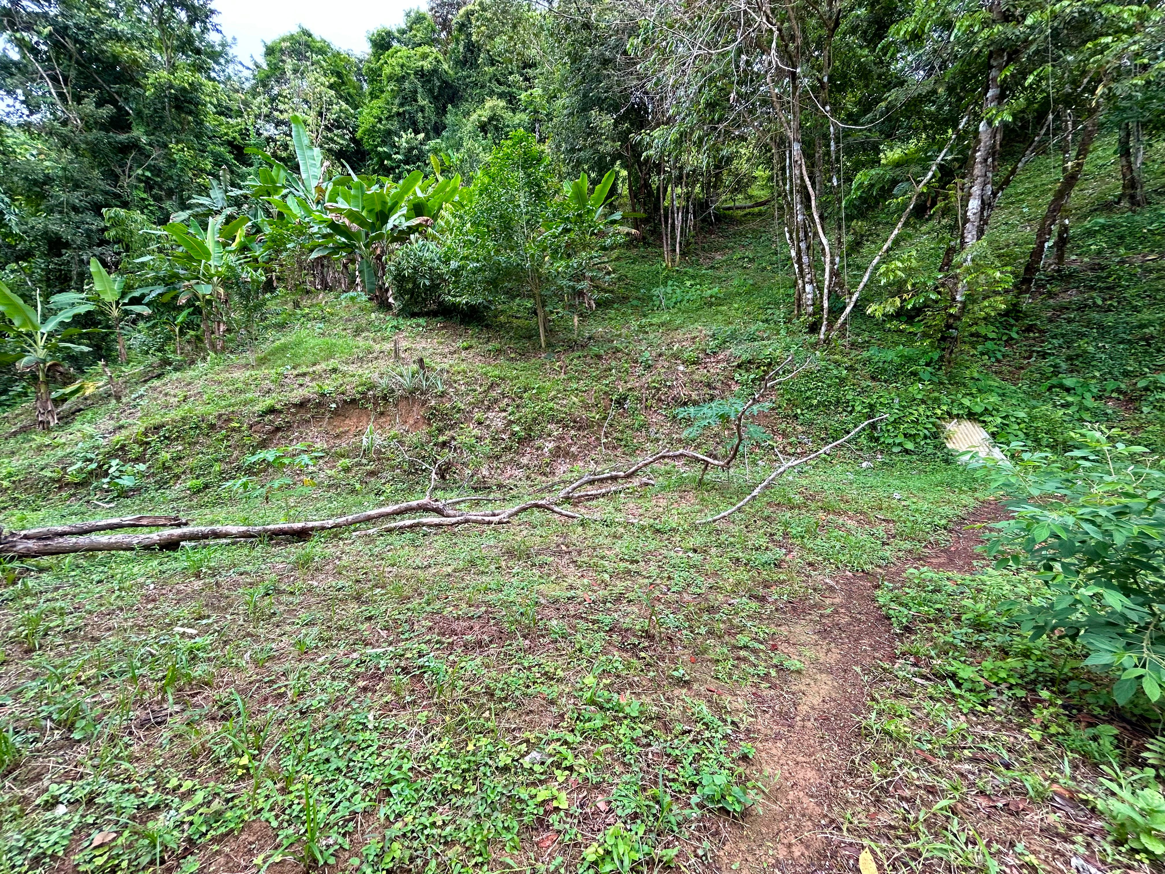 Ocean View Land in Playa Hermosa, Near Uvita property photo 2