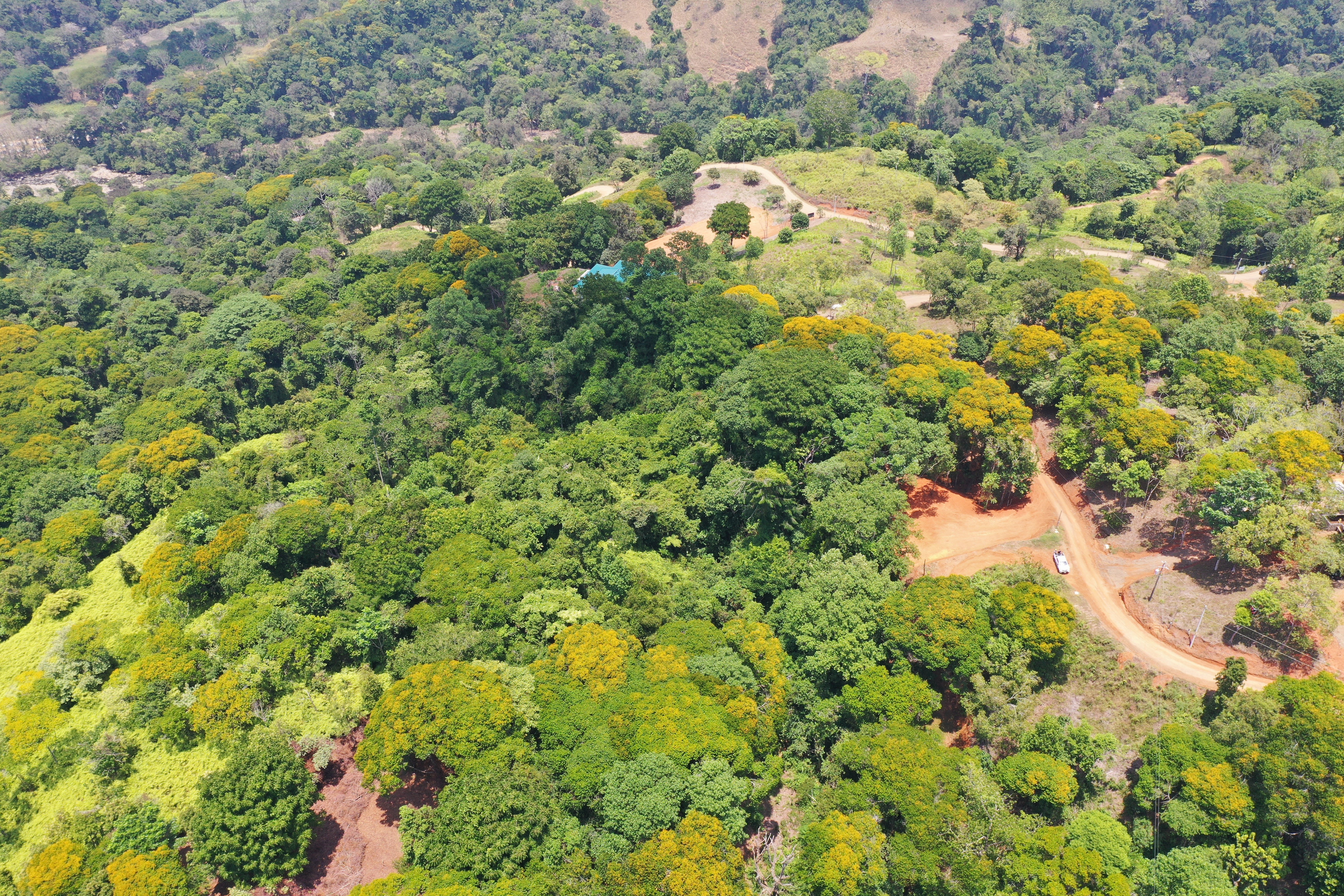 2.5-Acre Lot in a Gated Community, Dominical property photo 4