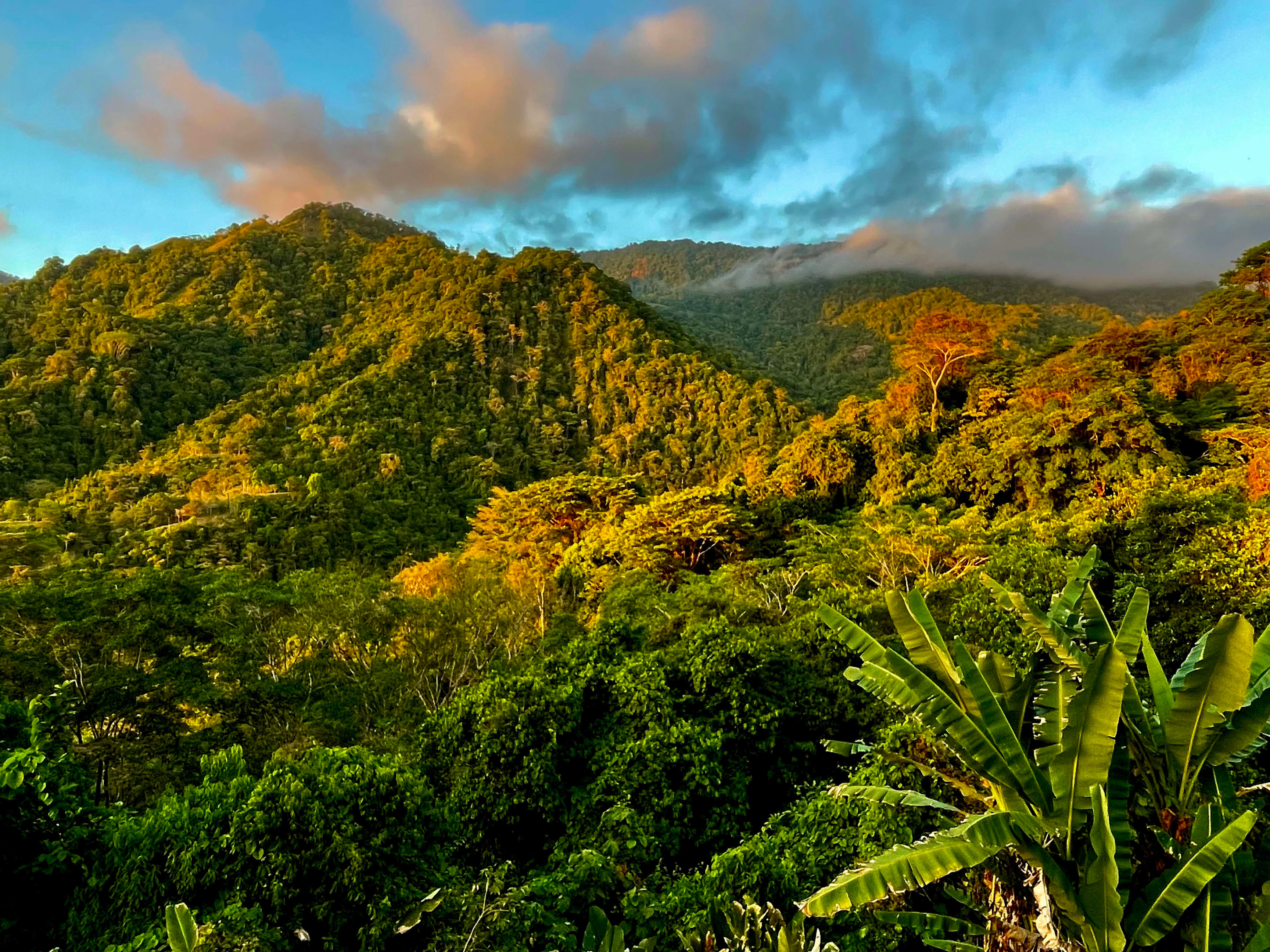 Land Bordering a Wildlife Reserve in Tres Ríos property photo 12