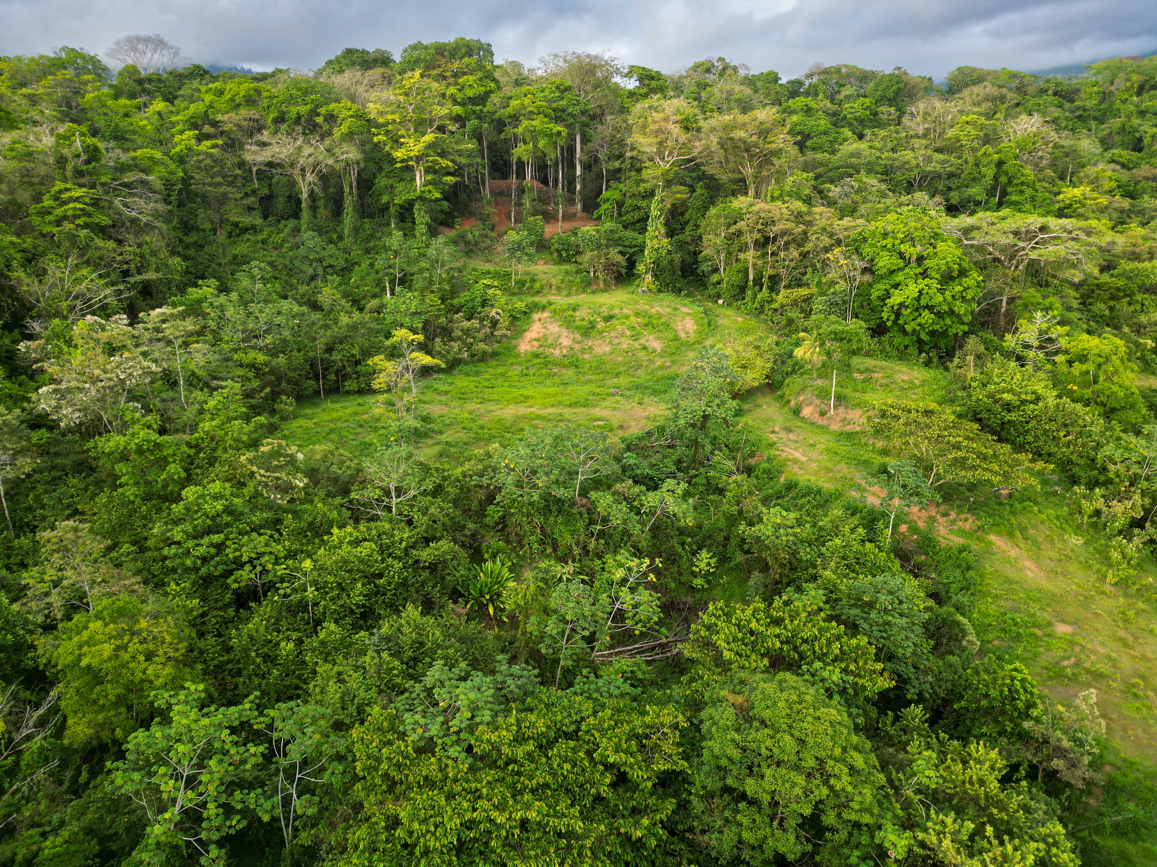 15.9-Acre Ocean View Land on La Union Road, Uvita property photo 3