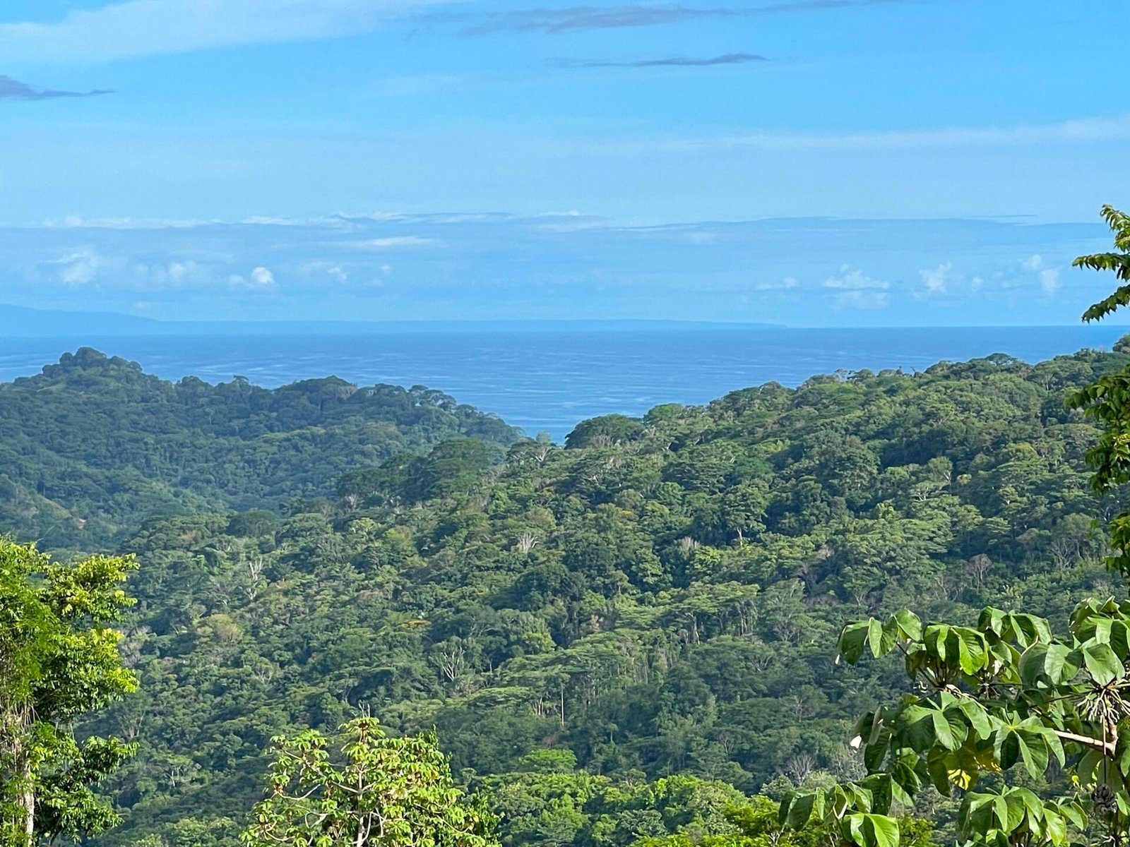4.76-Acre Ocean View Land in Lagunas, Near Dominical in Dominical, Costa Rica