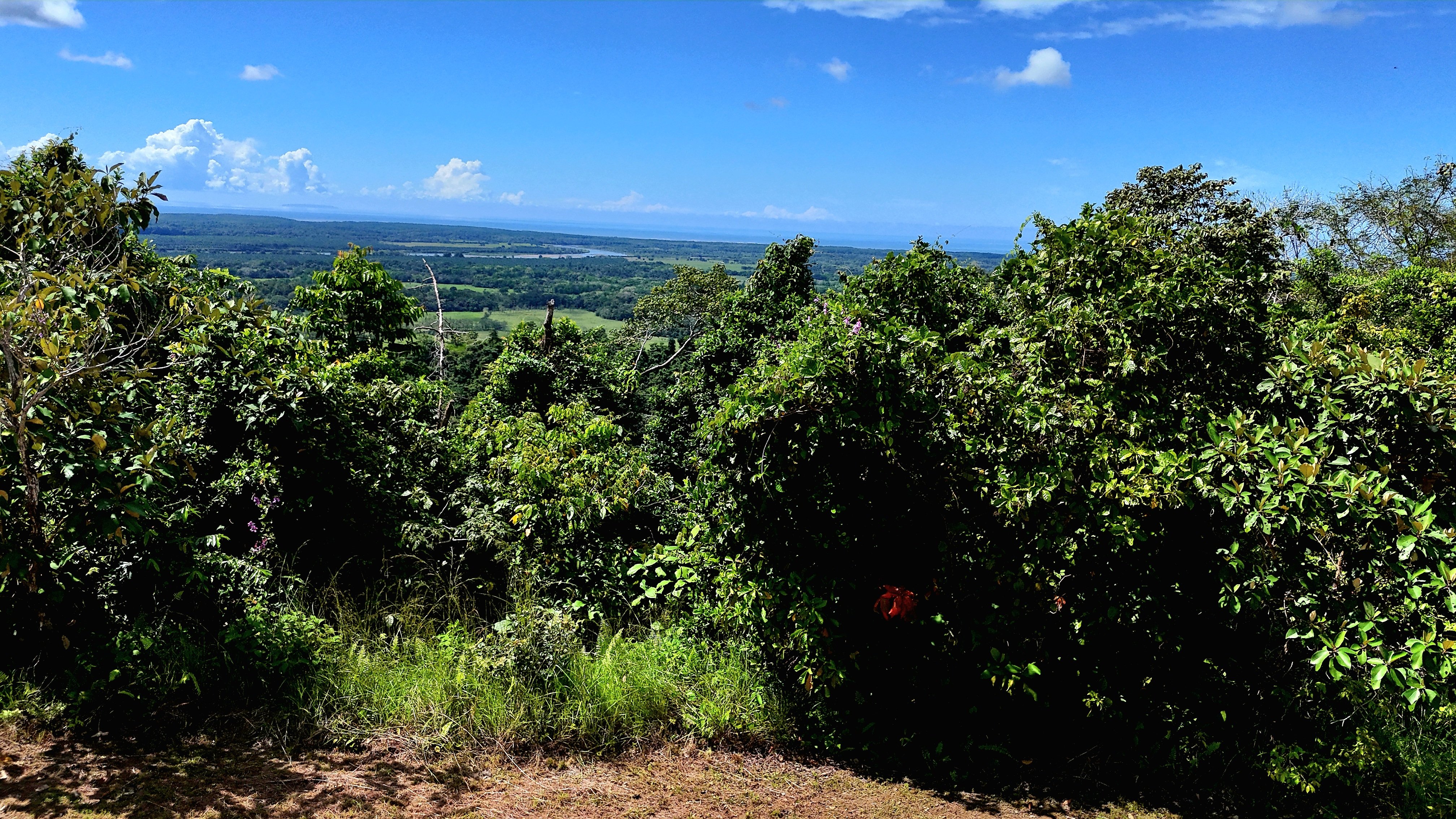 Ocean View Land in Chontales, Osa (Two Adjacent Lots) property photo 4