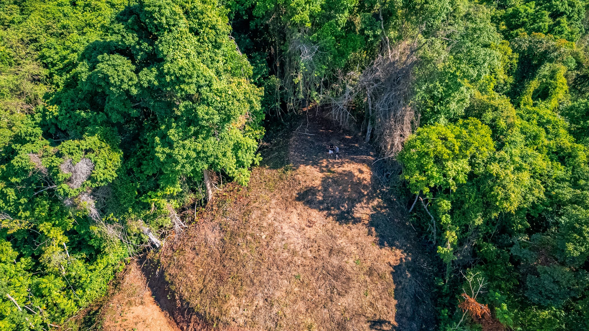 Ocean and Mountain View Land in Chontales, Near Ojochal property photo 2
