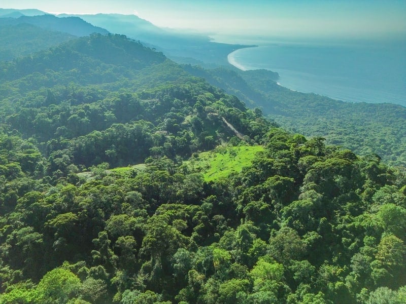 55-Acre Private Farm in Escaleras, Above Dominical property photo 3