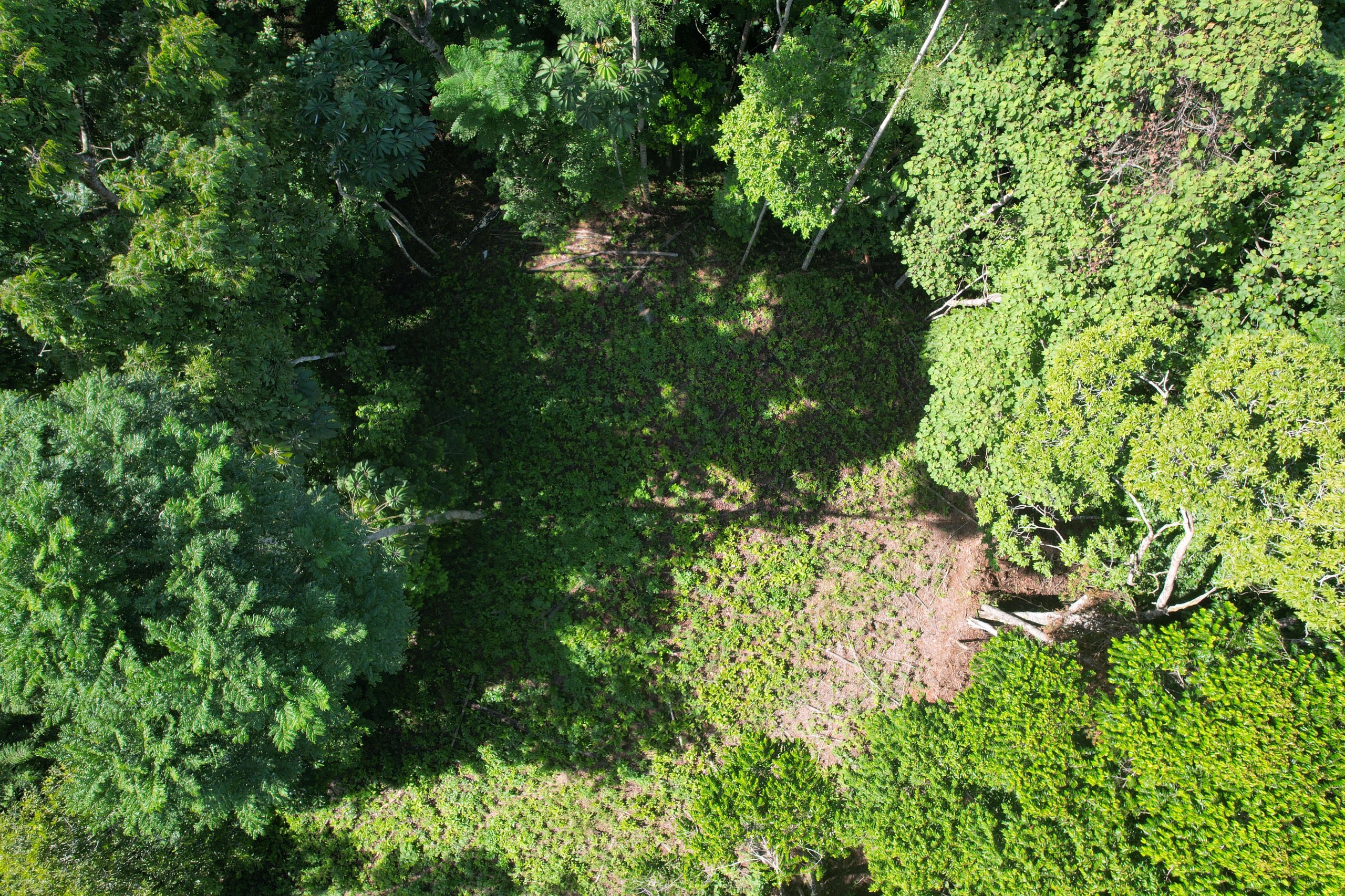 Development Land in Cinco Ventanas in Ojochal, Costa Rica