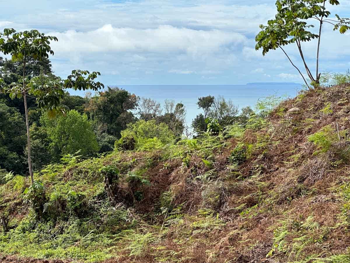 Ocean View Development Lot in Ojochal Phase 8 property photo