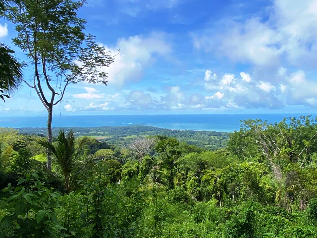 1.43-Acre Ocean View Land in Uvita property photo 2