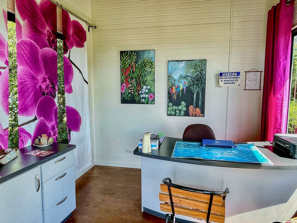 Thumbnail: Ocean View Boutique Hotel in Uvita | 7 Bed