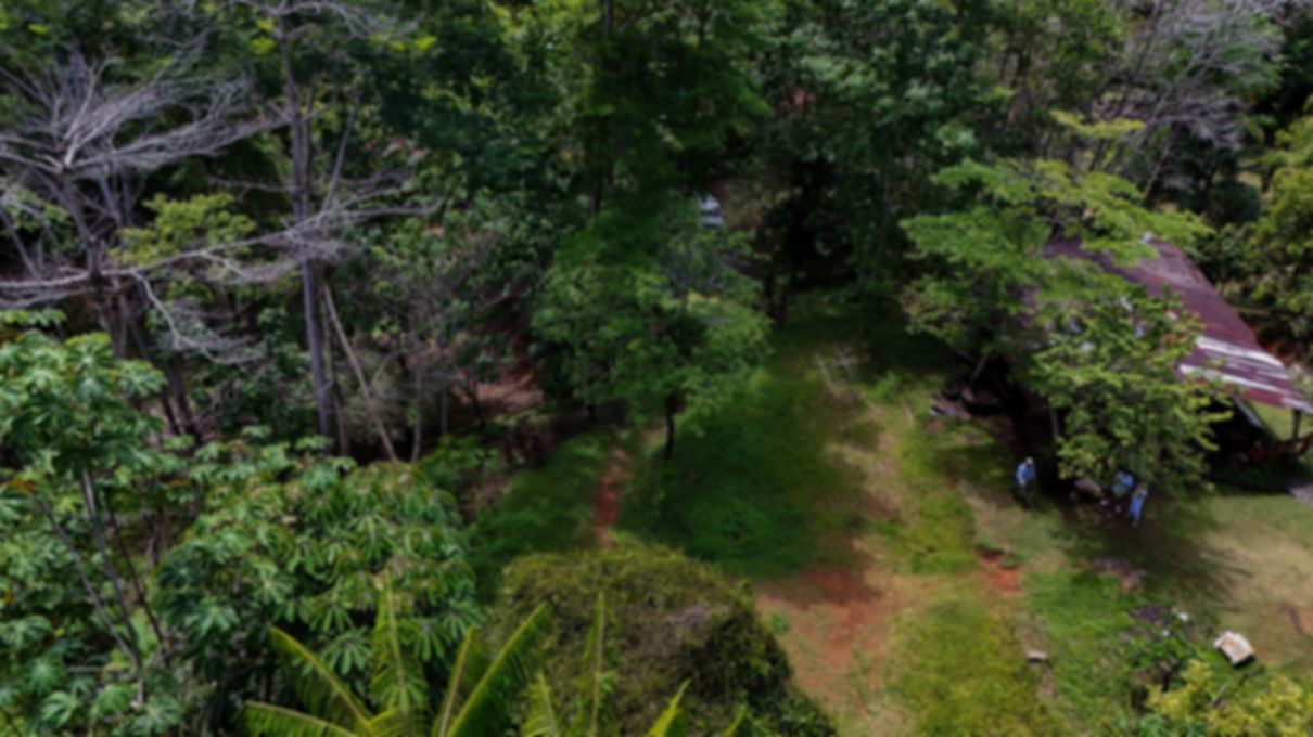 River-Walk Jungle Lot in Uvita | 1.2 Acres